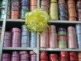 /album/fotogaleria/dscf1633-jpg/