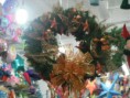 /album/navidad/dscf1970-jpg/