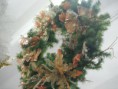 /album/navidad/dscf1989-jpg/